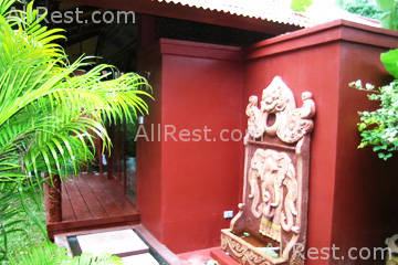 Coconut Paradise 12